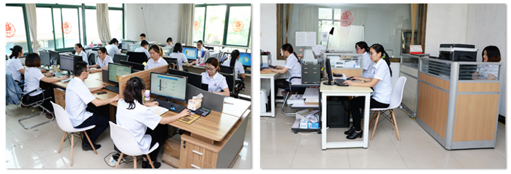 森基辦公團(tuán)隊(duì)